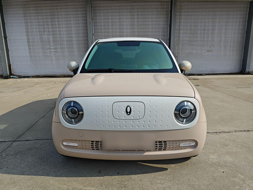 Used ORA Black Cat 2022 351 km Standard Version Ternary Lithium