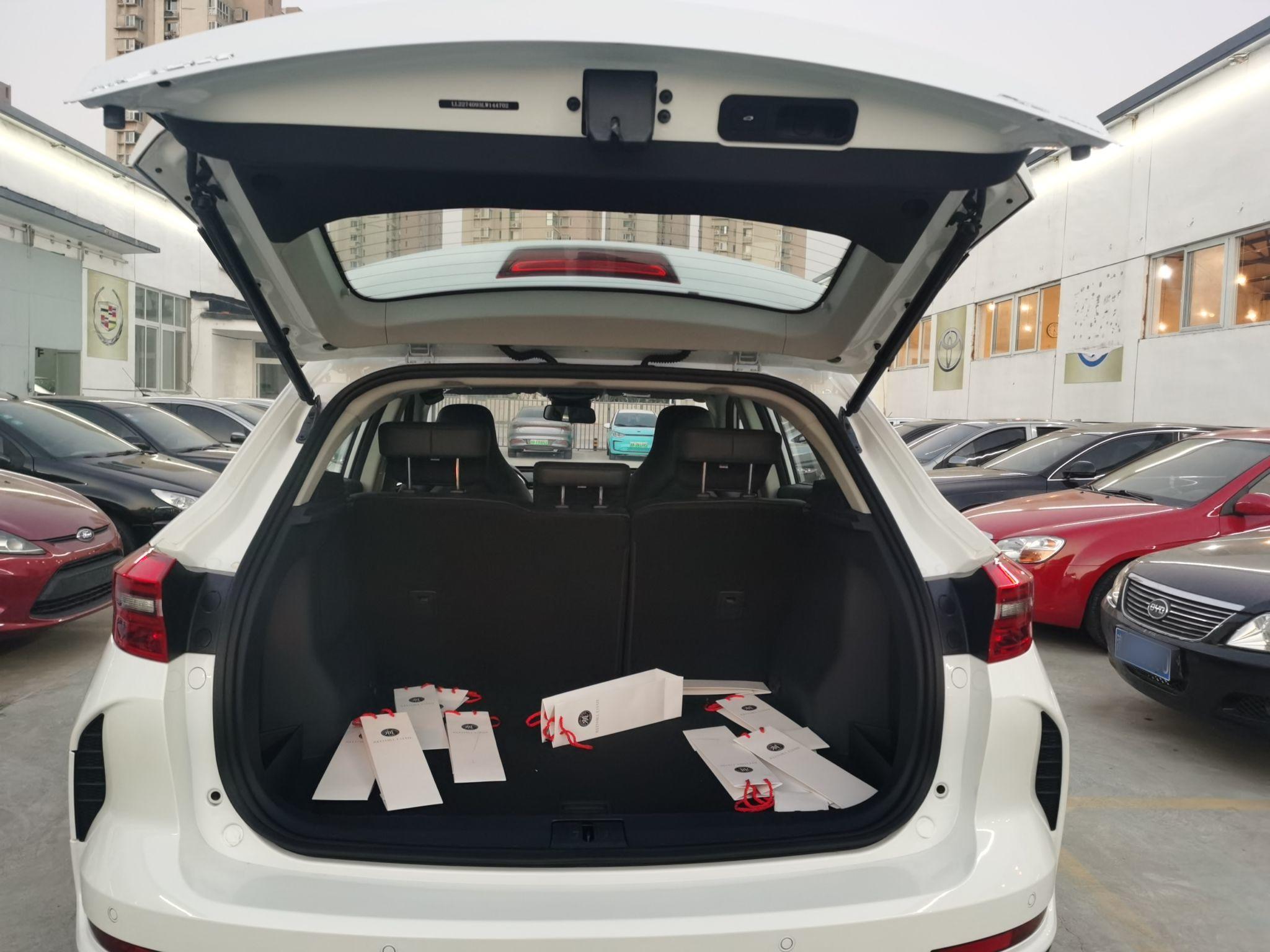 Used WM Motor EX5 2020 EX5-Z Fun Dynamic Edition
