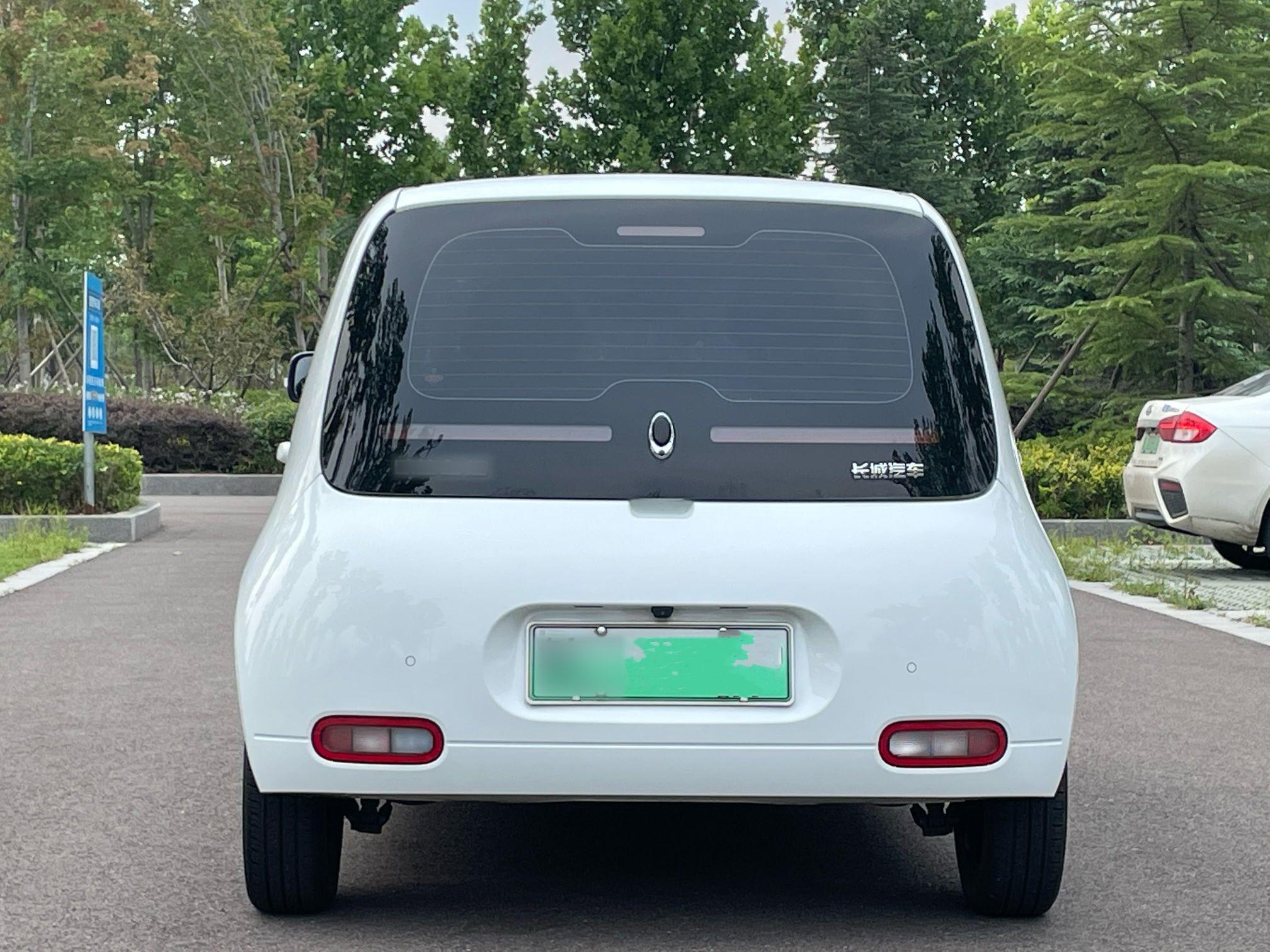 Used ORA White Cat 2020 360 km Luxury Version Rear