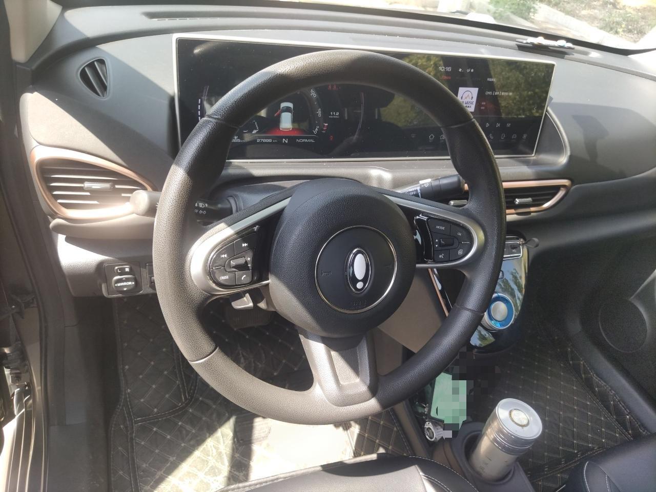 Used ORA White Cat 2022 Xiaoyue Mao Edition 360 km Luxury Model Lithium NMC
