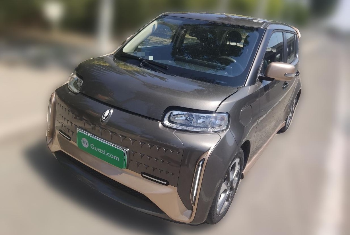 Used ORA White Cat 2022 Xiaoyue Mao Edition 360 km Luxury Model Lithium NMC