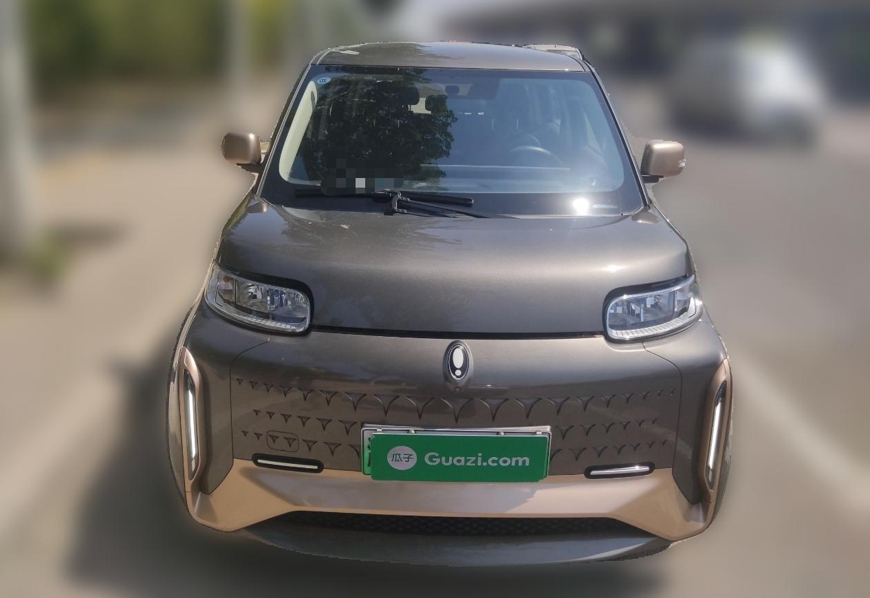 Used ORA White Cat 2022 Xiaoyue Mao Edition 360 km Luxury Model Lithium NMC
