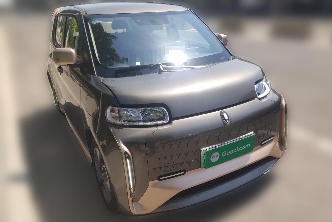 Used ORA White Cat 2022 Xiaoyue Mao Edition 360 km Luxury Model Lithium NMC
