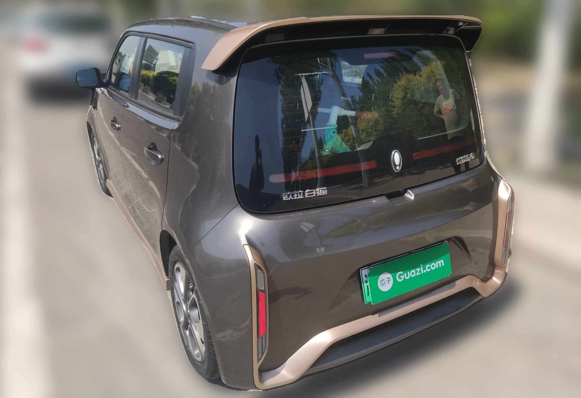 Used ORA White Cat 2022 Xiaoyue Mao Edition 360 km Luxury Model Lithium NMC
