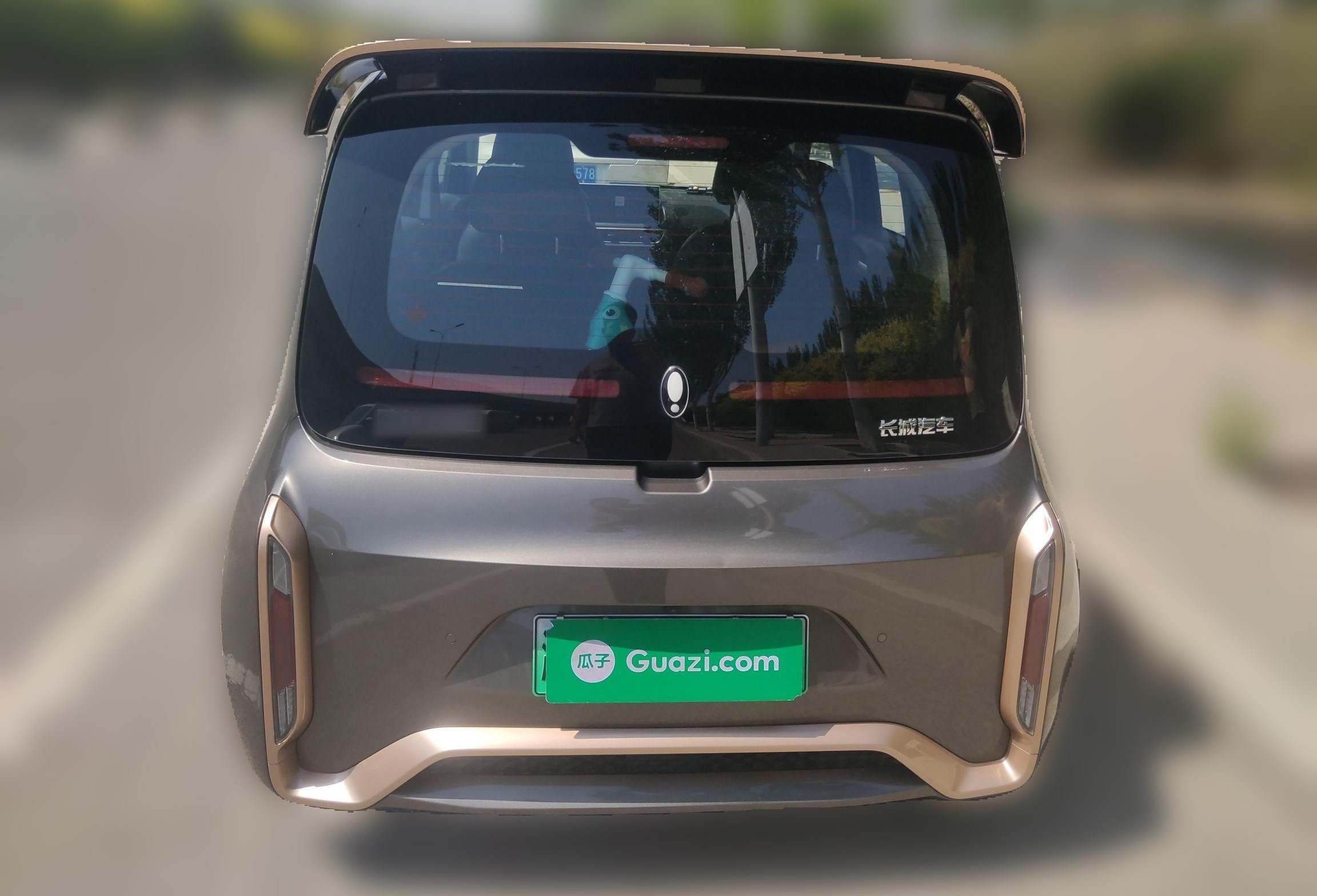 Used ORA White Cat 2022 Xiaoyue Mao Edition 360 km Luxury Model Lithium NMC
