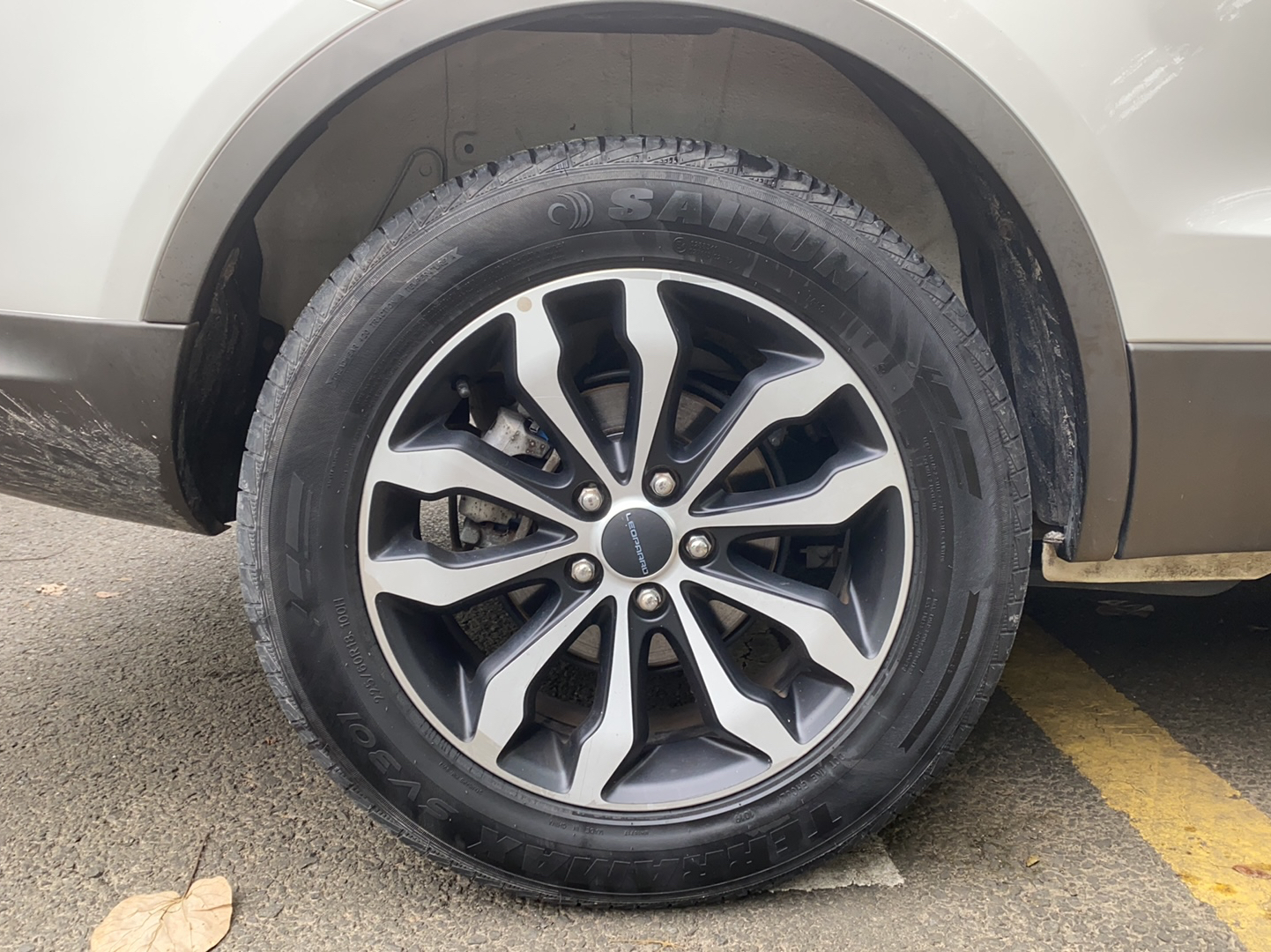 Used Leopaard CS10 2019 2.0T Automatic Drive Yue Edition