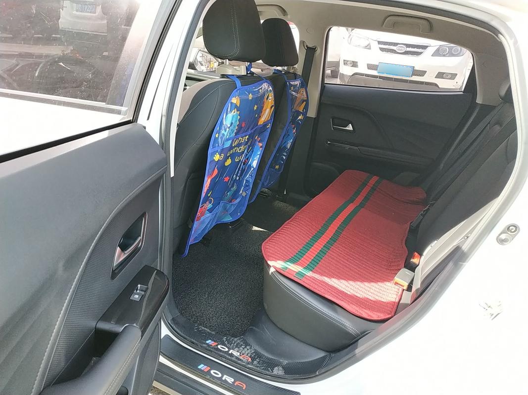 Used ORA iQ 2018 High-Range Version Smart Connectivity Model
