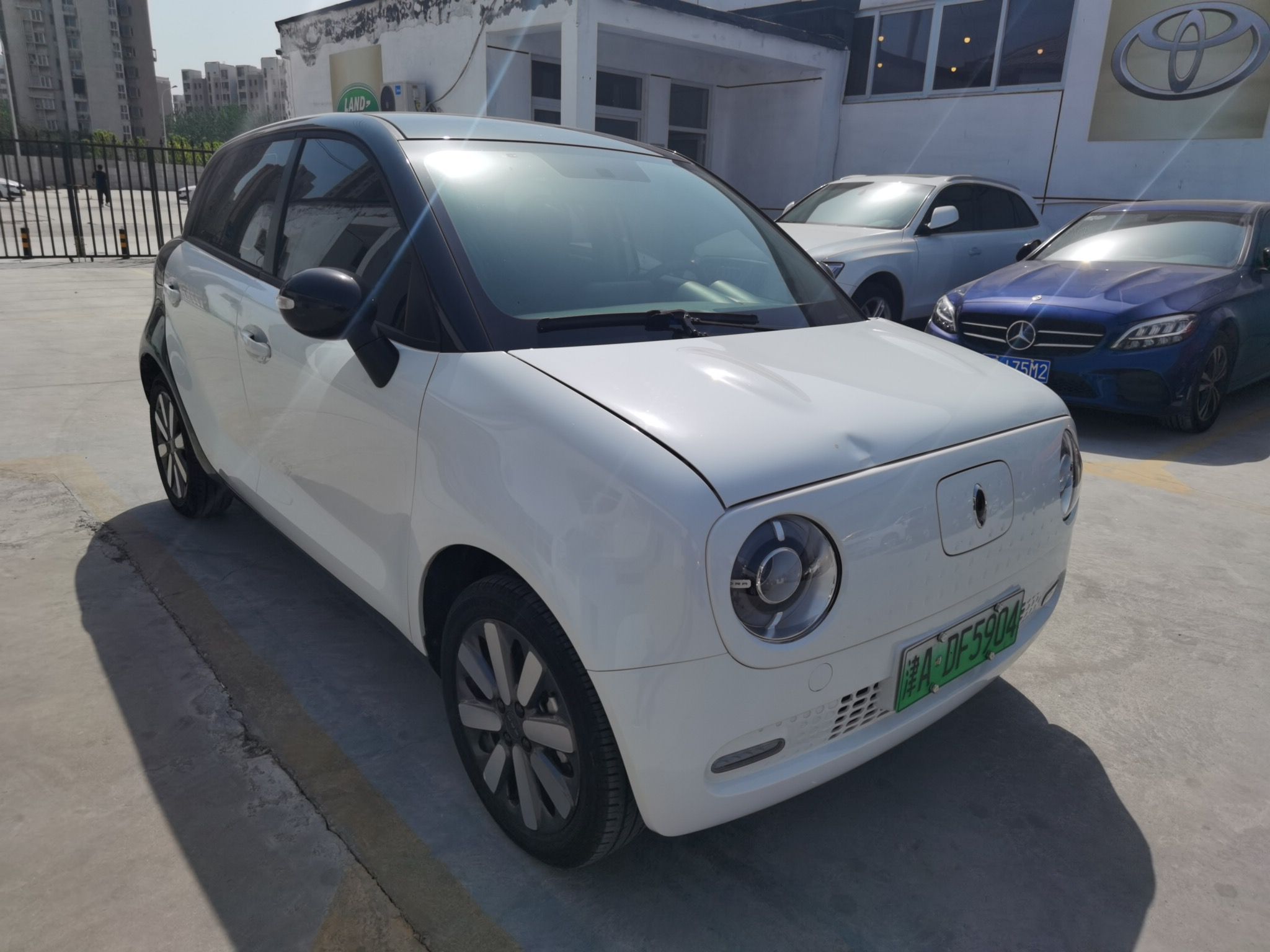 Used ORA Black Cat 2019 351 km Family Edition
