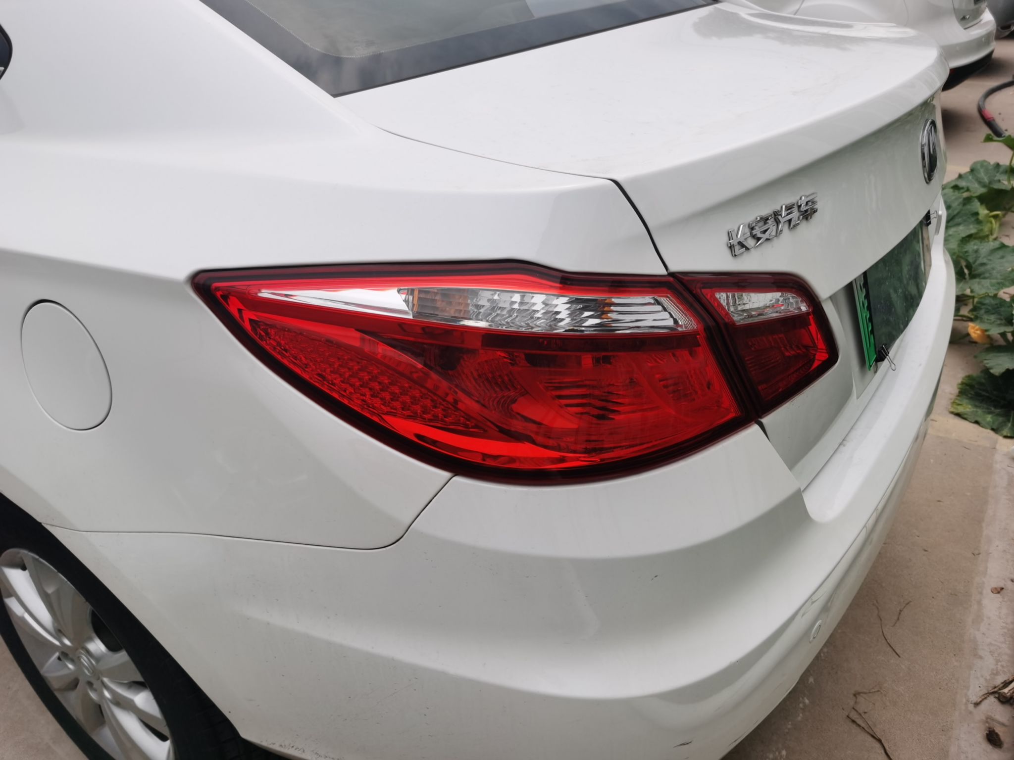 Used Changan Eado New Energy 2016 Pure Electric Deluxe Model