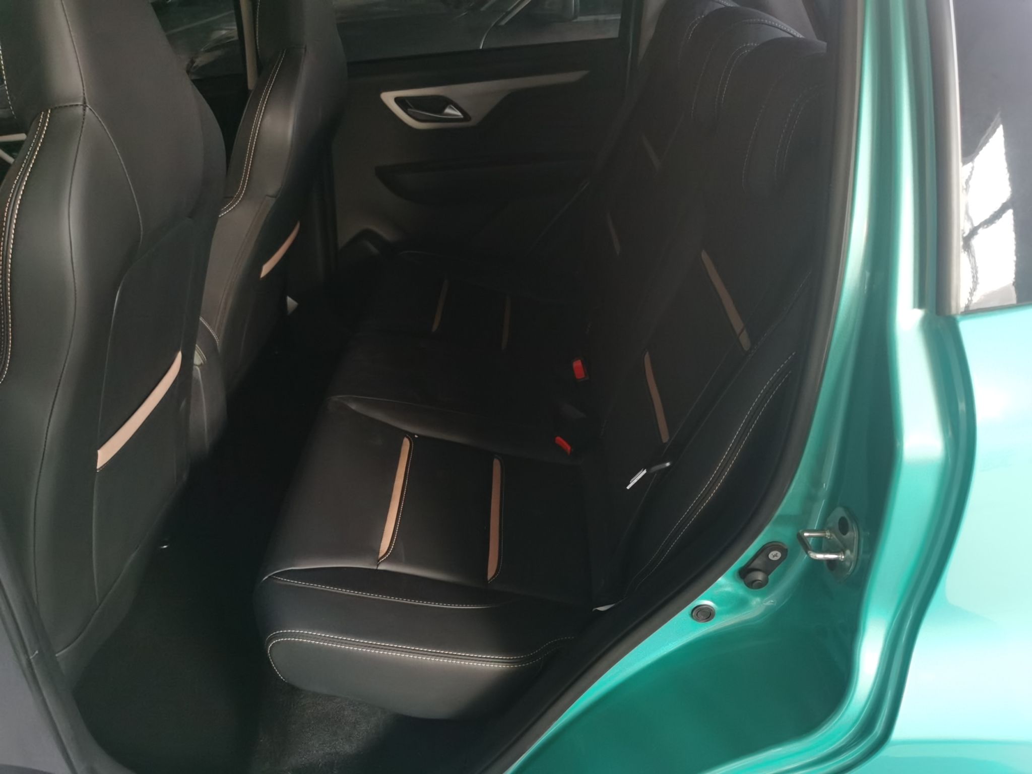 Used SOL  2022 Flower Fairy Design Four-Leaf Clover
