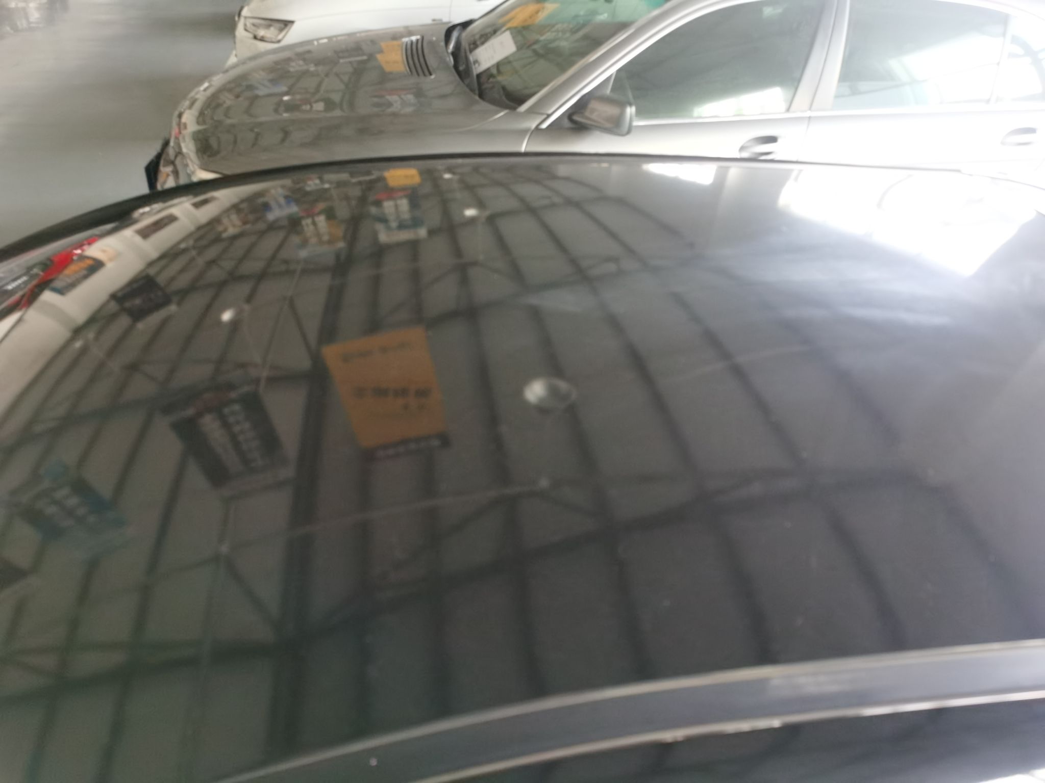 Used SOL  2022 Flower Fairy Design Four-Leaf Clover
