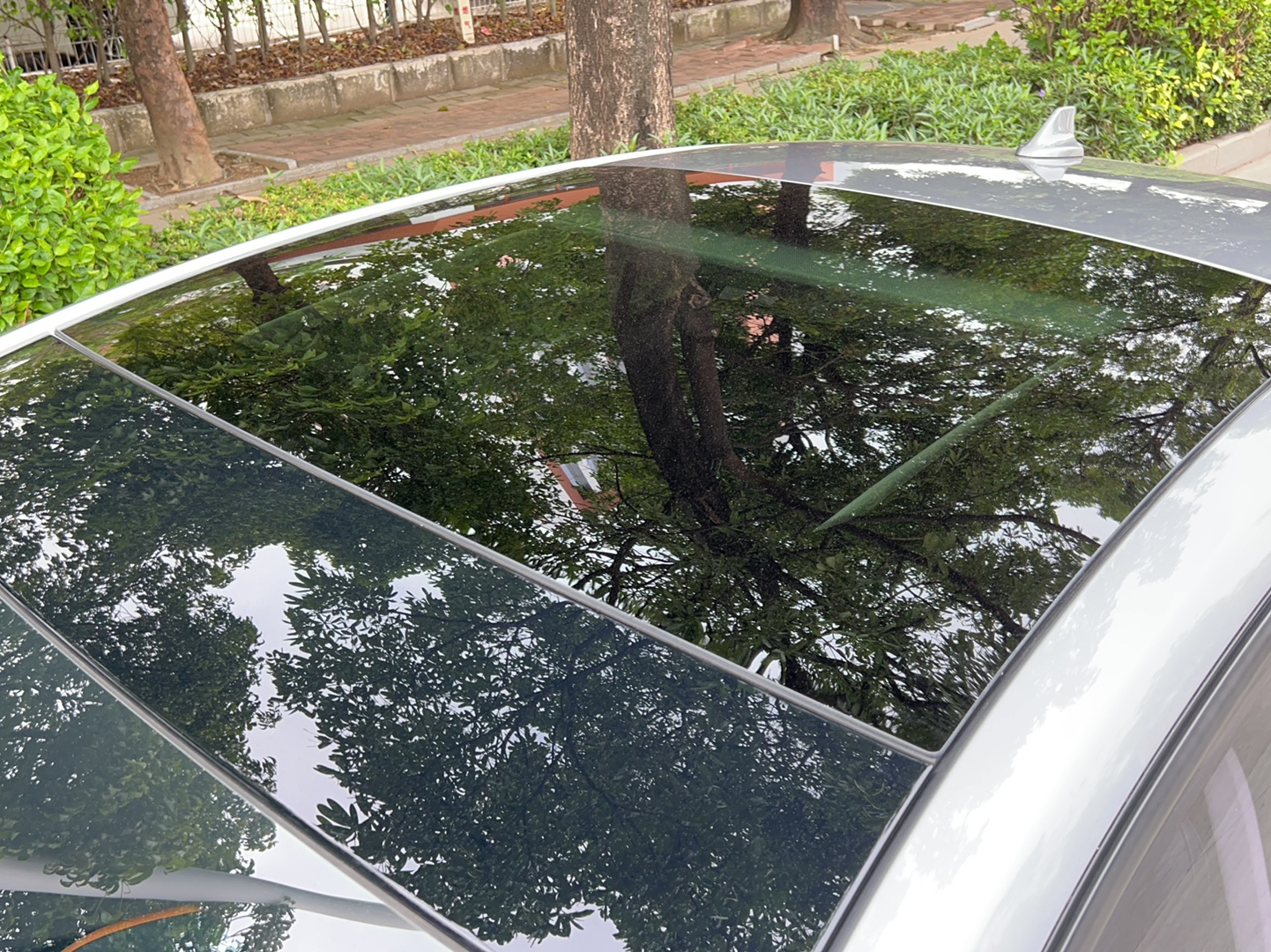 Used Ford Focus 2022 Sedan EcoBoost 180 Automatic Performance Edition